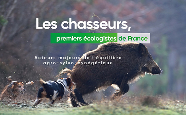 prostituee chasse sur rhone